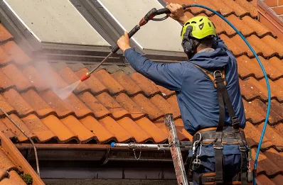 Démoussage et hydrofuge de toiture aux Brulais